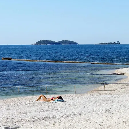 Apartamento With Wifi - 13454